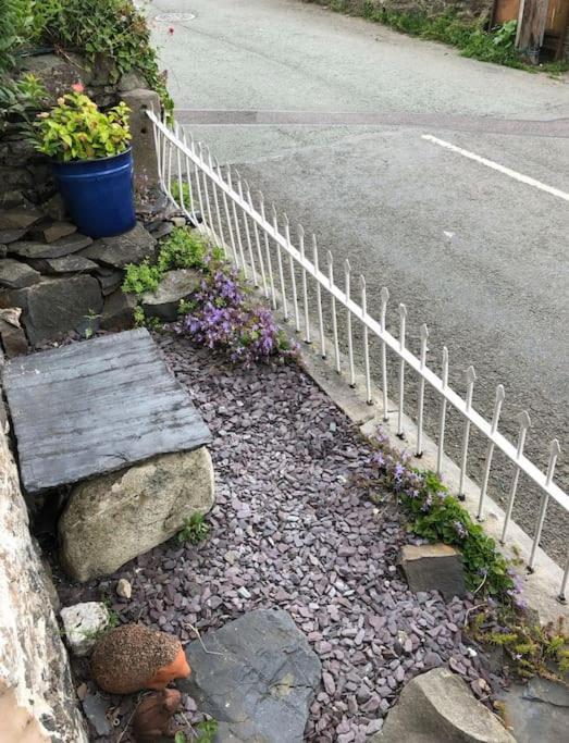 Annie'S Cottage Llanrhaeadr-ym-Mochnant エクステリア 写真