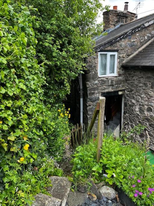 Annie'S Cottage Llanrhaeadr-ym-Mochnant エクステリア 写真