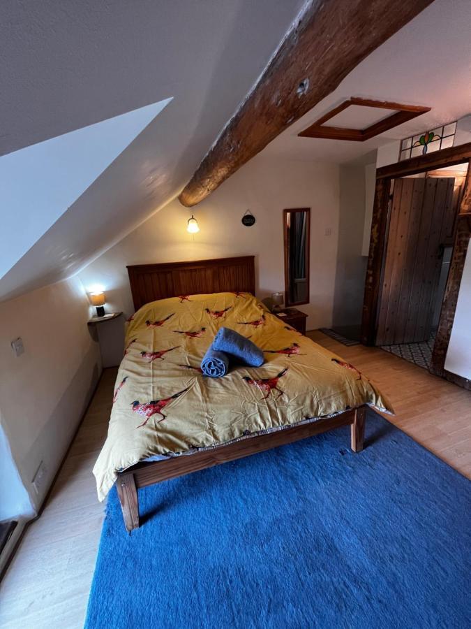 Annie'S Cottage Llanrhaeadr-ym-Mochnant エクステリア 写真