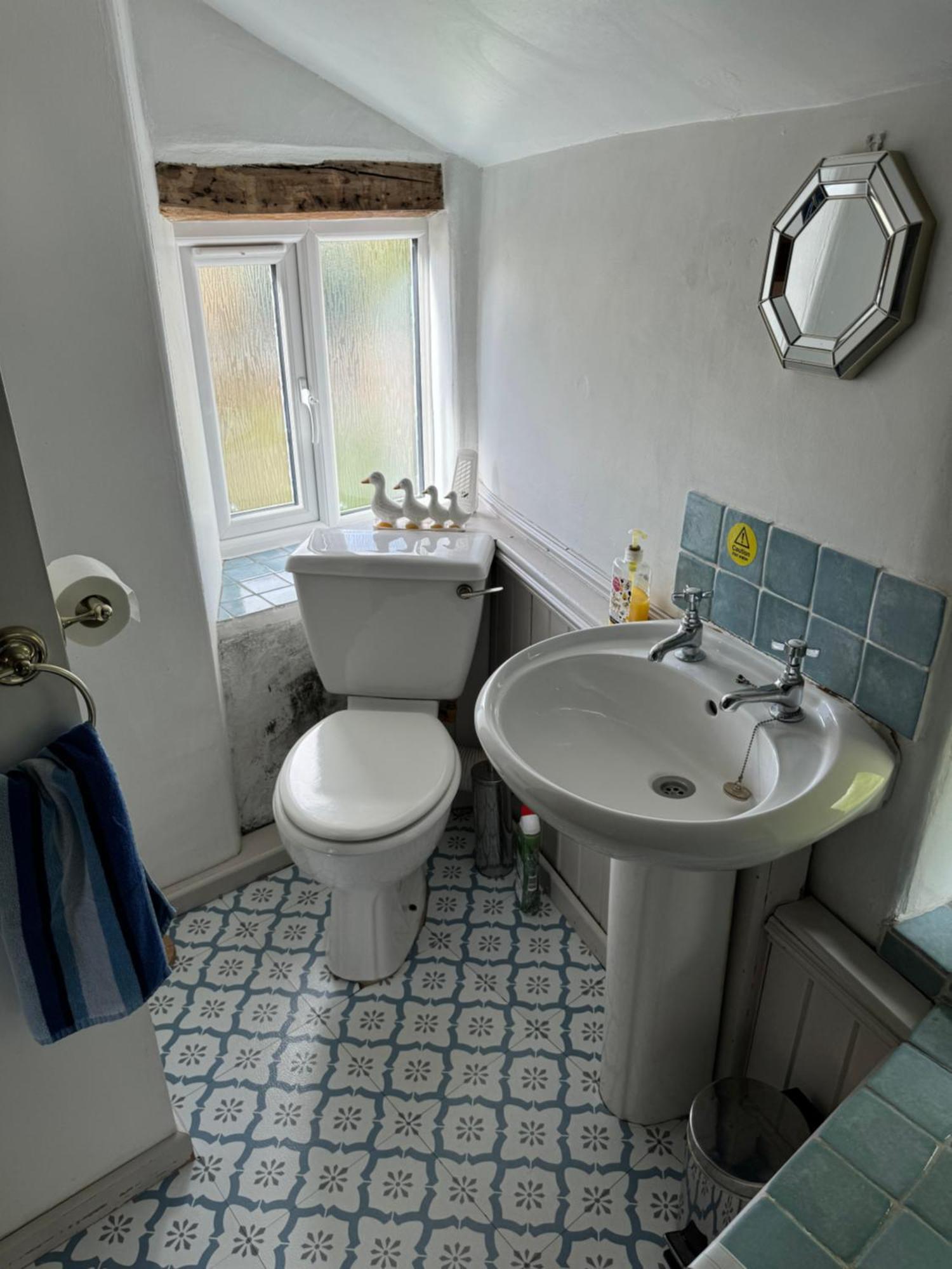 Annie'S Cottage Llanrhaeadr-ym-Mochnant エクステリア 写真